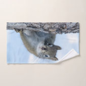 Dierenfotografie, nieuwsgierige eekhoorn handdoek (Handdoek)