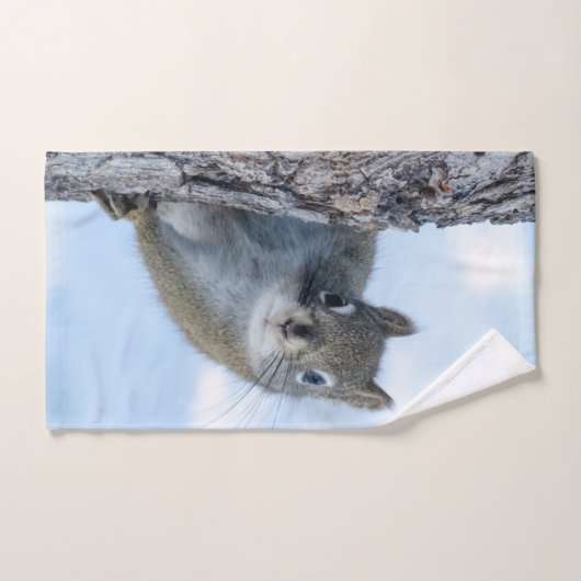 Dierenfotografie, nieuwsgierige eekhoorn handdoek (Handdoek)