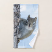 Dierenfotografie, nieuwsgierige eekhoorn handdoek (Handdoek)