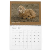 Dierenfoto's - Kalender van 12 maanden (Feb 2027)