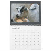 Dierenfoto's - Kalender van 12 maanden (Jan 2027)