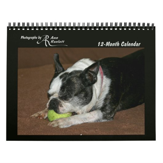 Dierenfoto's - Kalender van 12 maanden (Hoes)