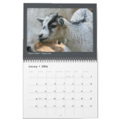 Dierenfoto's - Kalender van 12 maanden (Jan 2026)