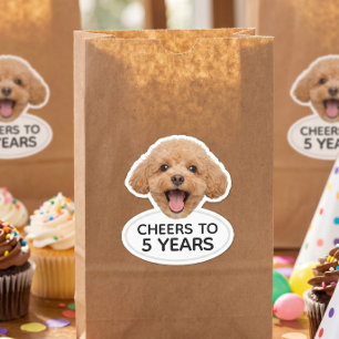 Dierengezichten op maat voor verjaardagsfeestjes sticker