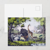 Dierengroep Briefkaart (Voorkant / Achterkant)