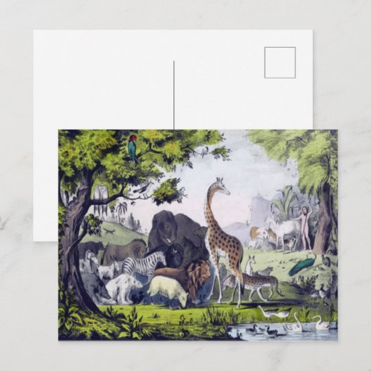 Dierengroep Briefkaart (Voorkant / Achterkant)