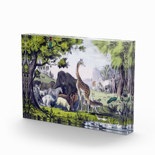 Dierengroep Fotoblokken (Rechts)