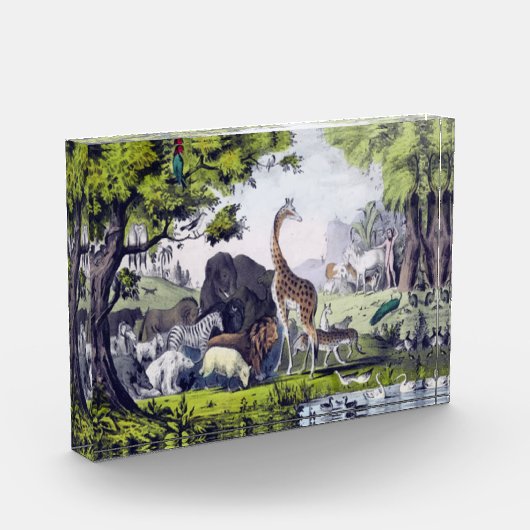 Dierengroep Fotoblokken (Links)