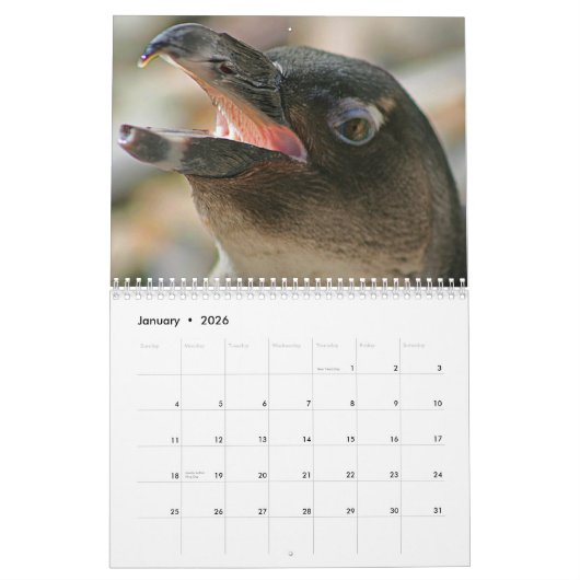 Dierenkalender 2011, gemaakt door Aremac Gallery Kalender (Jan 2026)