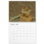 Dierenkalender 2017 van Orchidelique Kalender (Feb 2027)