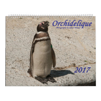 Dierenkalender 2017 van Orchidelique Kalender