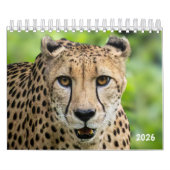 Dierenkalender 2026 kalender (Hoes)