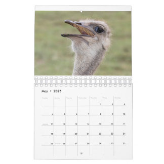 Dierenkalender 2026 kalender