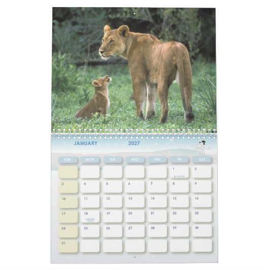 Dierenkalender 6 kalender (Jan 2027)