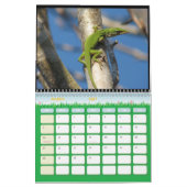 Dierenkalender 6 kalender (Mar 2027)