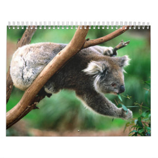 Dierenkalender 6 kalender
