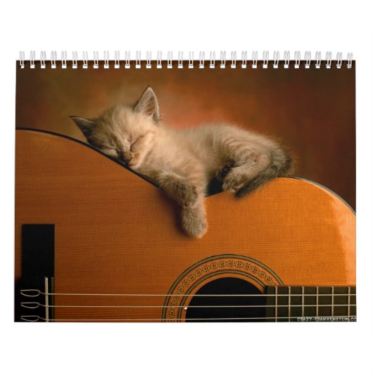 Dierenkalender 7 kalender (Hoes)