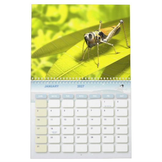 Dierenkalender 8 kalender (Jan 2027)