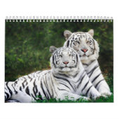 Dierenkalender 8 kalender (Hoes)