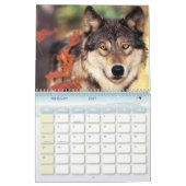 Dierenkalender 8 kalender (Feb 2027)