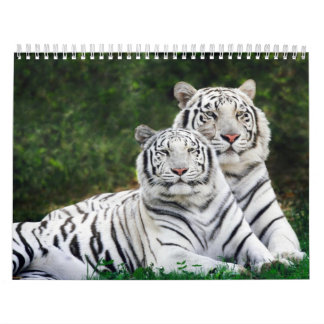 Dierenkalender 8 kalender