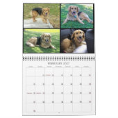 Dierenkalender Kalender (Feb 2027)