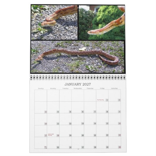 Dierenkalender Kalender (Jan 2027)