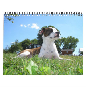 Dierenkalender Kalender