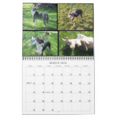 Dierenkalender Kalender (Mar 2026)
