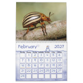 Dierenkalenders 24 kalender (Feb 2027)