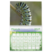 Dierenkalenders 24 kalender (Mar 2027)