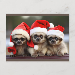 Dierenkerstkaarten Feestdagenkaart