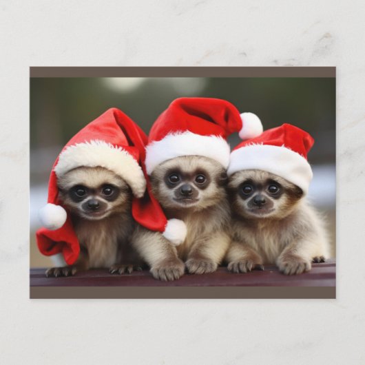 Dierenkerstkaarten Feestdagenkaart (Voorkant)