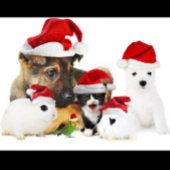 Dierenkerstmis T-shirt