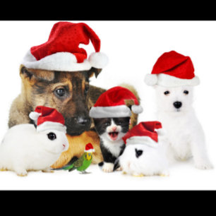 Dierenkerstmis T-shirt