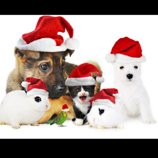 Dierenkerstmis T-shirt