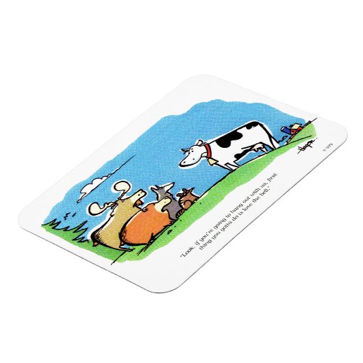 Dierenklik Magneet (Linkerzijde)