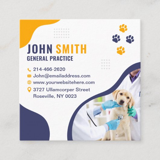 Dierenkliniek, Dierenzorg, Dierenarts Vierkante Visitekaartje (Voorkant)