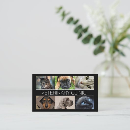 Dierenkliniek Pet Care Visitekaartje (Staand voorkant)