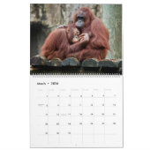 dierenknuffel kalender (Mar 2026)