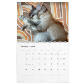 dierenknuffel kalender (Feb 2026)