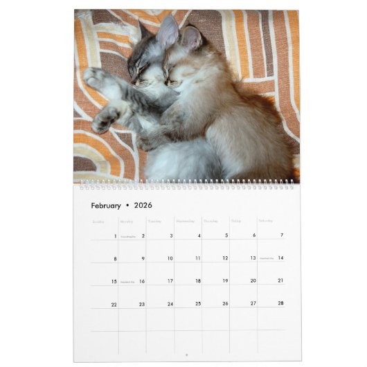 dierenknuffel kalender (Feb 2026)
