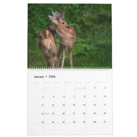 dierenknuffel kalender (Jan 2026)
