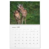 dierenknuffel kalender (Jan 2027)