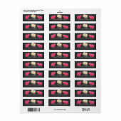 Dierenkoekjes Strooiparty Adreslabels Etiket (Full Sheet)