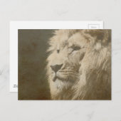 Dierenleeuw Hoofd van de koning Moderne Pop Art Sj Briefkaart (Voorkant / Achterkant)