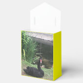 Dierenliefde Bedankdoosjes (Geopend)