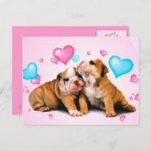 Dierenliefde Briefkaart (Voorkant / Achterkant)