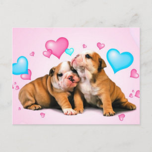 Dierenliefde Briefkaart
