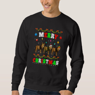 Dierenlights Merry KerstSanta Lion Trui